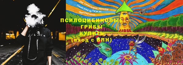 молекула духа Алзамай