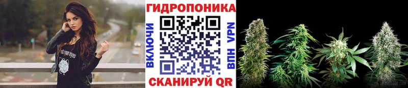 Марихуана Bruce Banner  Коркино 